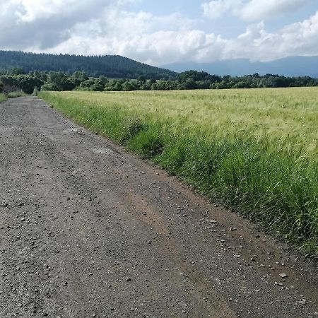 Domki Sowi Kamien Lomnica  Exteriör bild