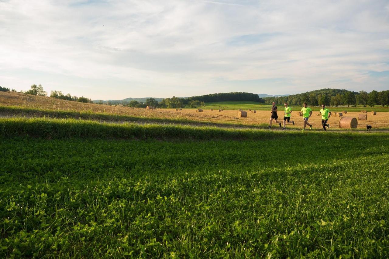 Domki Sowi Kamien Lomnica  Exteriör bild